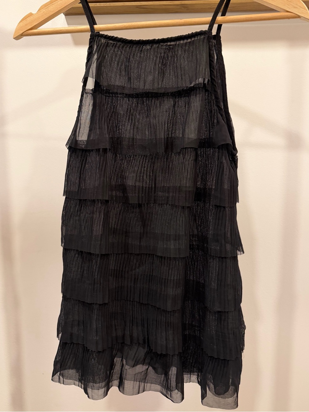 Zara Semi Sheer Top